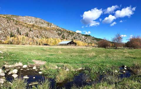 Dolan Creek Farm